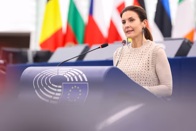 EP Plenary session - Criminal intimidation against investigative journalists in the EU: the attempted attack to Sigfrido Ranucci