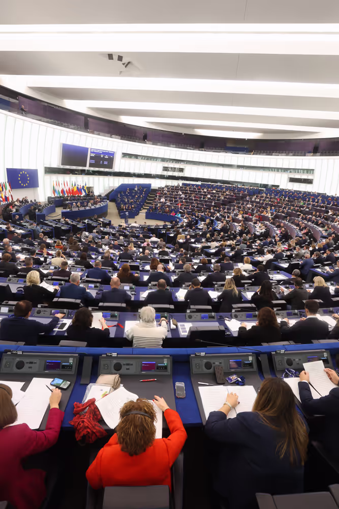 EP Plenary session - Voting session