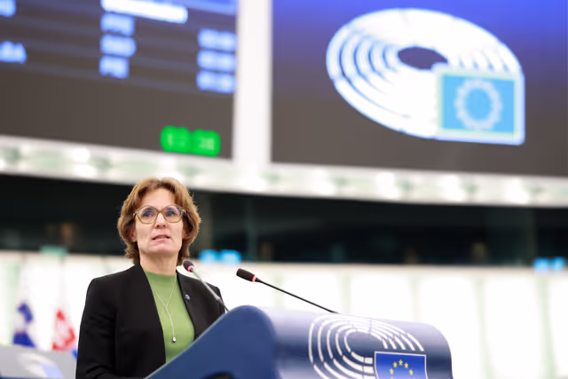 EP Plenary session - First anniversary of the DANA floods in Spain: improving EU preparedness