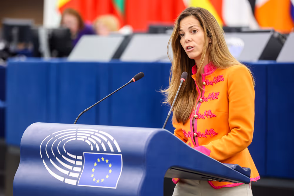 EP Plenary session - First anniversary of the DANA floods in Spain: improving EU preparedness