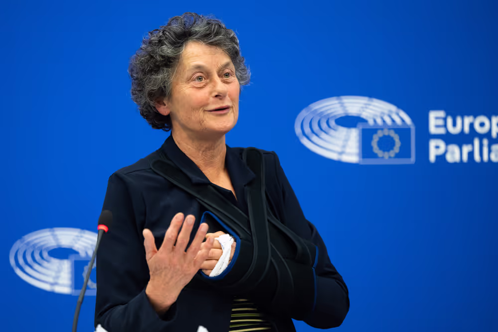 Press conference on the EU-Egypt Summit: strong ties without standards