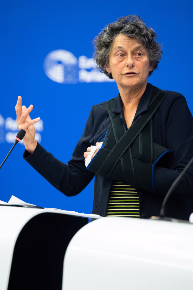 Press conference on the EU-Egypt Summit: strong ties without standards