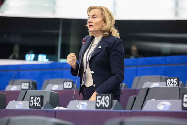 EP Plenary session - Audiovisual Media Services Directive obligations in the transatlantic dialogue