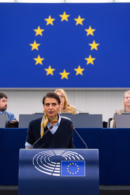 EP Plenary session - Combating violence against women and girls, including the exploitation of motherhood