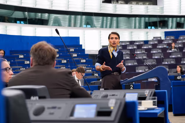 EP Plenary session - Combating violence against women and girls, including the exploitation of motherhood