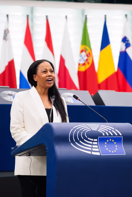 EP Plenary session - Combating violence against women and girls, including the exploitation of motherhood