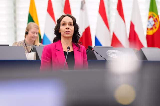 Zdjęcie 24: EP Plenary session - Combating violence against women and girls, including the exploitation of motherhood