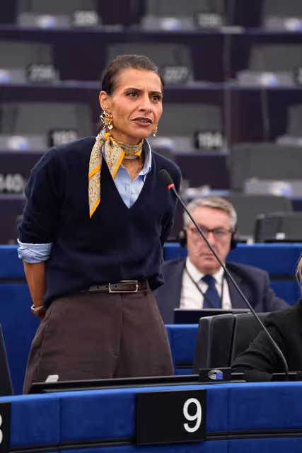 EP Plenary session - Combating violence against women and girls, including the exploitation of motherhood