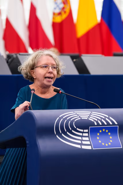 Zdjęcie 18: EP Plenary session - Combating violence against women and girls, including the exploitation of motherhood