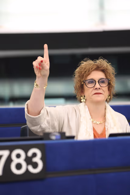 EP Plenary session - Voting session