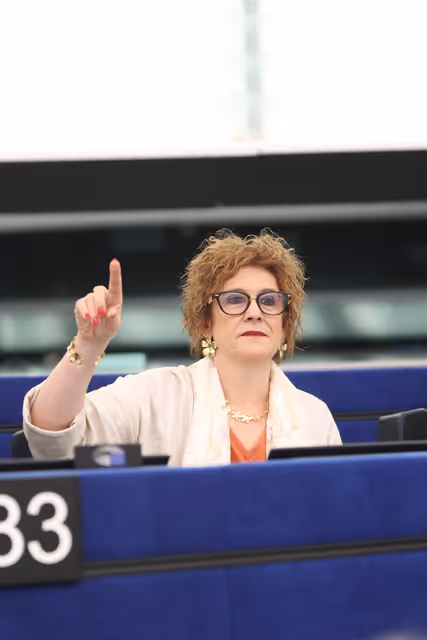 EP Plenary session - Voting session