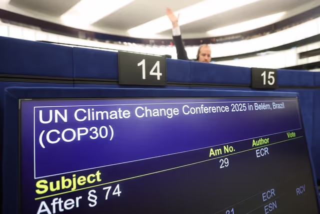 EP Plenary session - Voting session