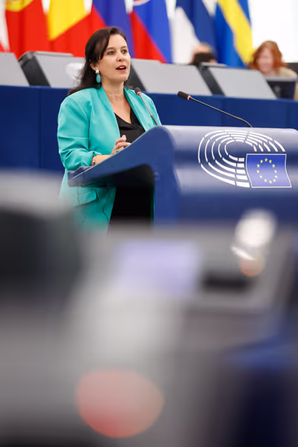 EP Plenary session - Discontinuing seasonal time change