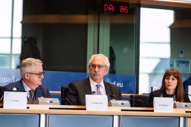 Fotó 17: INTA - Public hearing on ' EU- Gulf Cooperation Council Trade and investment relations '