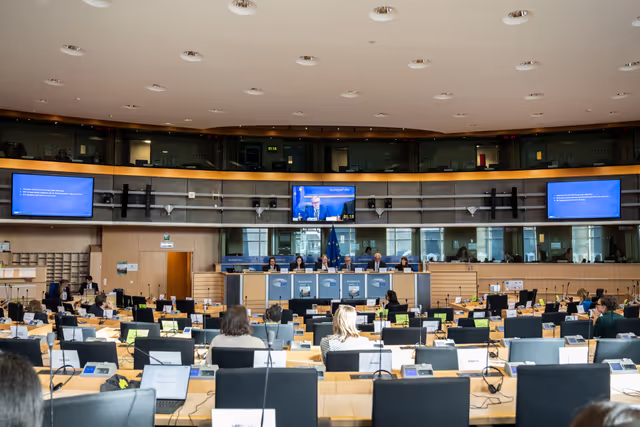 Fotó 13: INTA - Public hearing on ' EU- Gulf Cooperation Council Trade and investment relations '