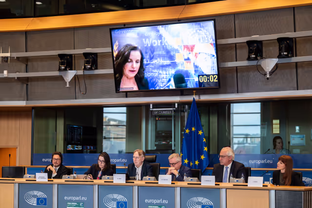 Fotó 7: INTA - Public hearing on ' EU- Gulf Cooperation Council Trade and investment relations '