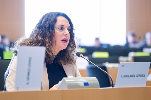 Foto 35: IMCO PETI joint Public Hearing ' Protecting children and adolescents in digital environments: challenges and policy solutions '