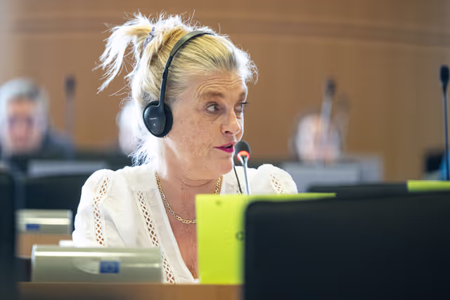 Foto 29: IMCO PETI joint Public Hearing ' Protecting children and adolescents in digital environments: challenges and policy solutions '