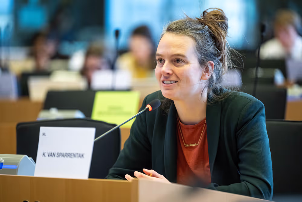 IMCO PETI joint Public Hearing ' Protecting children and adolescents in digital environments: challenges and policy solutions '