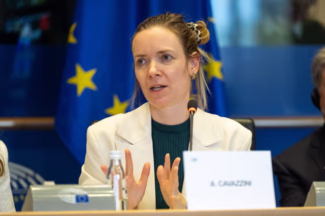 IMCO PETI joint Public Hearing ' Protecting children and adolescents in digital environments: challenges and policy solutions '