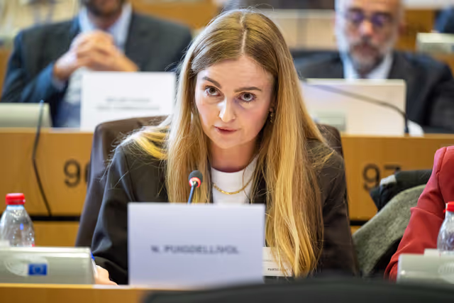 IMCO PETI joint Public Hearing ' Protecting children and adolescents in digital environments: challenges and policy solutions '