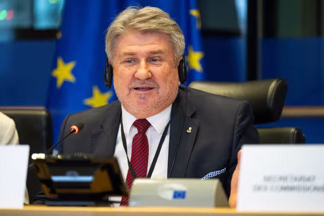 IMCO PETI joint Public Hearing ' Protecting children and adolescents in digital environments: challenges and policy solutions '