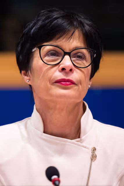 AFET - Presentation of the 2025 Enlargement Package by Marta Kos, Commissioner for Enlargement