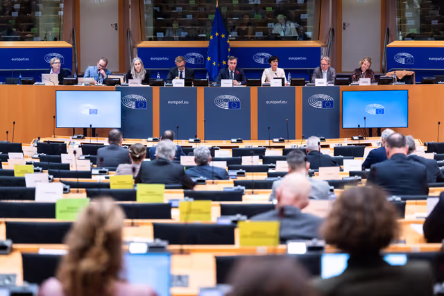 AFET - Presentation of the 2025 Enlargement Package by Marta Kos, Commissioner for Enlargement