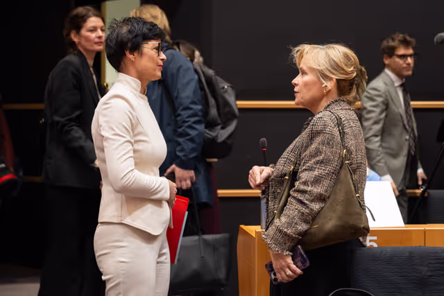 AFET - Presentation of the 2025 Enlargement Package by Marta Kos, Commissioner for Enlargement