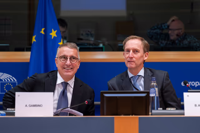 AFET SEDE - Exchange of views on ' The UN at 80: Reflections, Challenges and Opportunities for the Future '