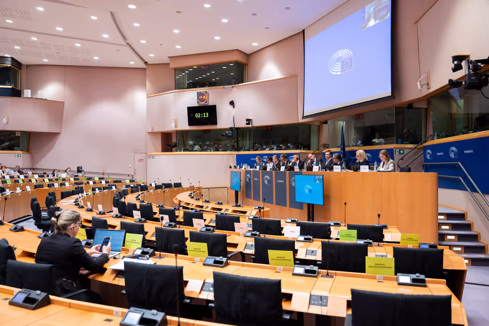 AFET SEDE - Exchange of views on ' The UN at 80: Reflections, Challenges and Opportunities for the Future '