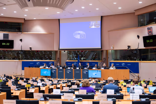 AFET SEDE - Exchange of views on ' The UN at 80: Reflections, Challenges and Opportunities for the Future '