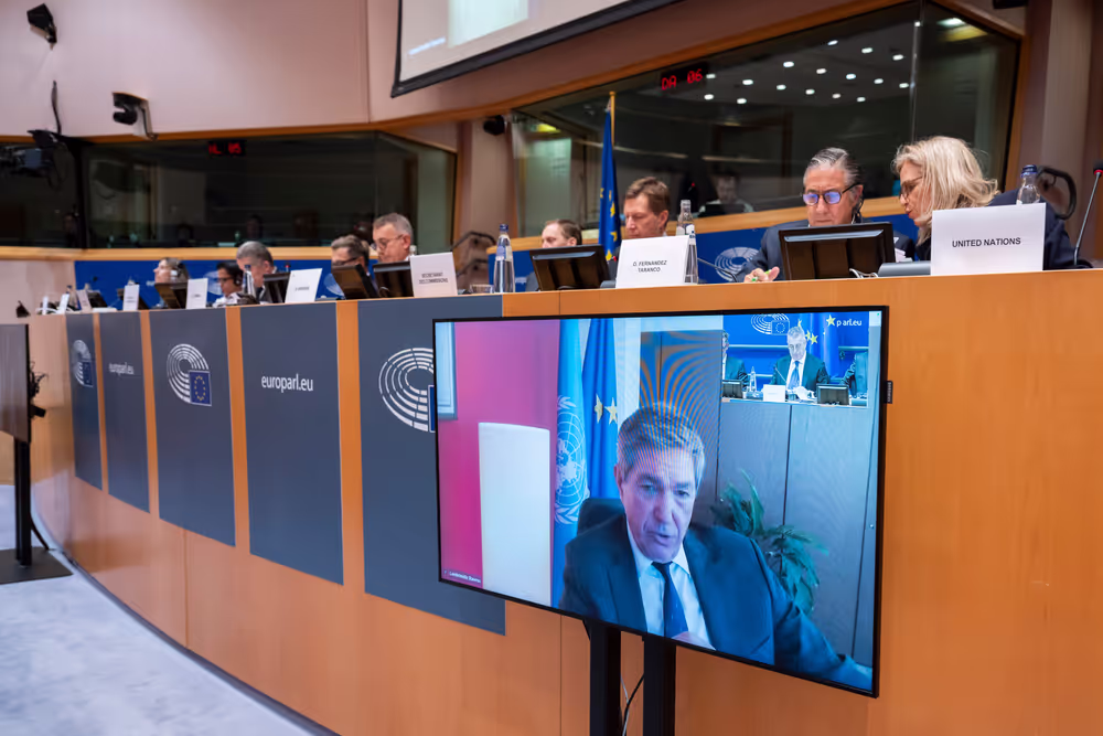 AFET SEDE - Exchange of views on ' The UN at 80: Reflections, Challenges and Opportunities for the Future '