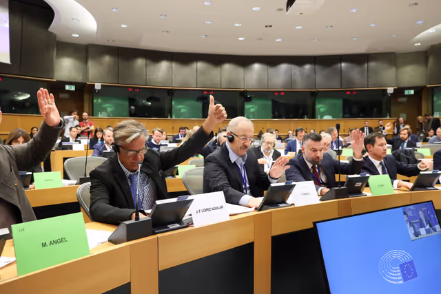 AFCO - Vote on the amendment of the European Electoral act, allowing Members to vote in plenary by proxy voting during pregnancy and after giving birth