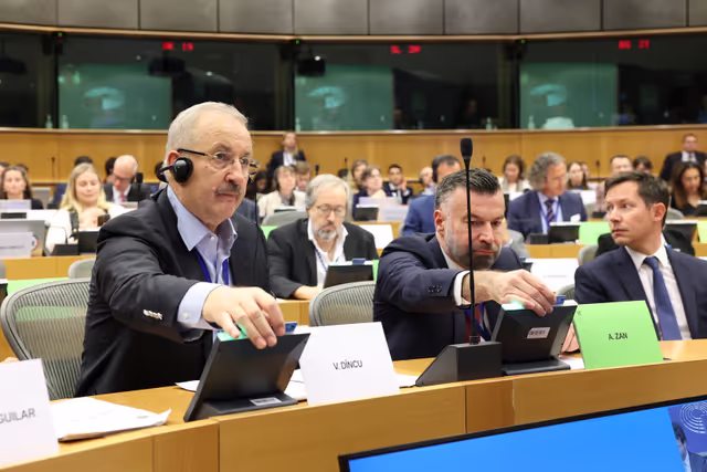 AFCO - Vote on the amendment of the European Electoral act, allowing Members to vote in plenary by proxy voting during pregnancy and after giving birth