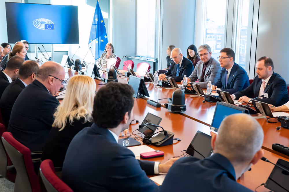 Vice-President Victor NEGRESCU meets with Alexander ROGOBETE, Romanian Health Minister