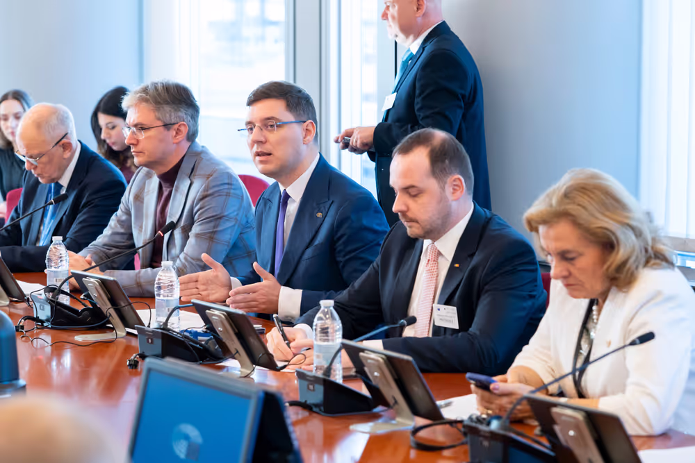 Vice-President Victor NEGRESCU meets with Alexander ROGOBETE, Romanian Health Minister