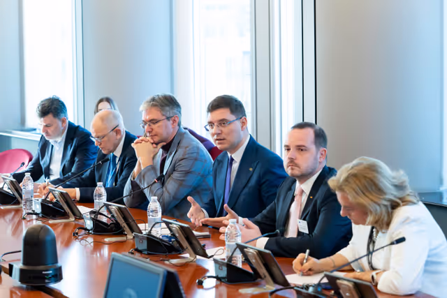 Vice-President Victor NEGRESCU meets with Alexander ROGOBETE, Romanian Health Minister