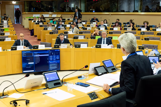 SEDE - Public Hearing ' EU Strategic Defence and Security Partnerships '