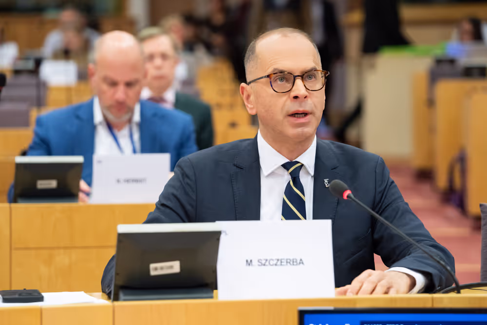 SEDE - Public Hearing ' EU Strategic Defence and Security Partnerships '