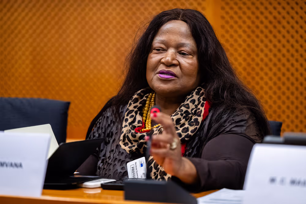 EU-South Africa Inter Parliamentary meeting