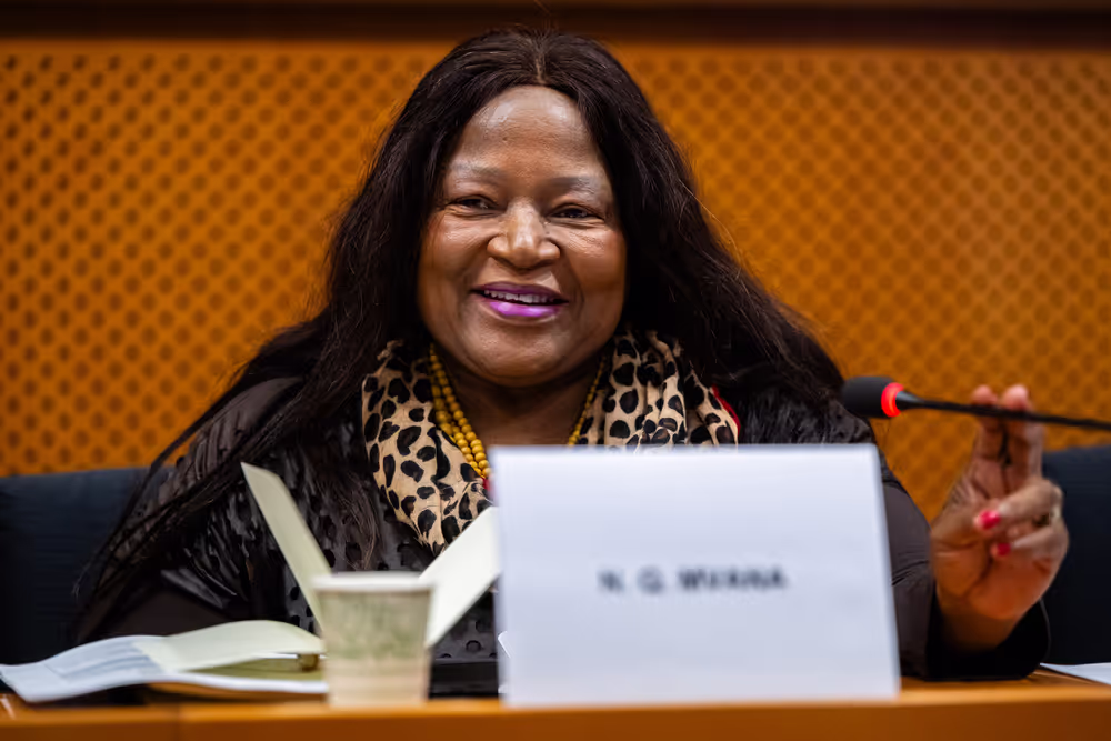 EU-South Africa Inter Parliamentary meeting