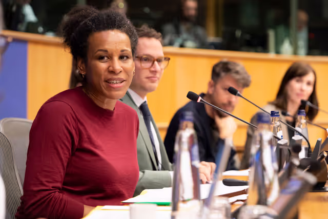 Fotografia 15: CULT - Public hearing on A European Degree: empowering students, strengthening universities, uniting Europe