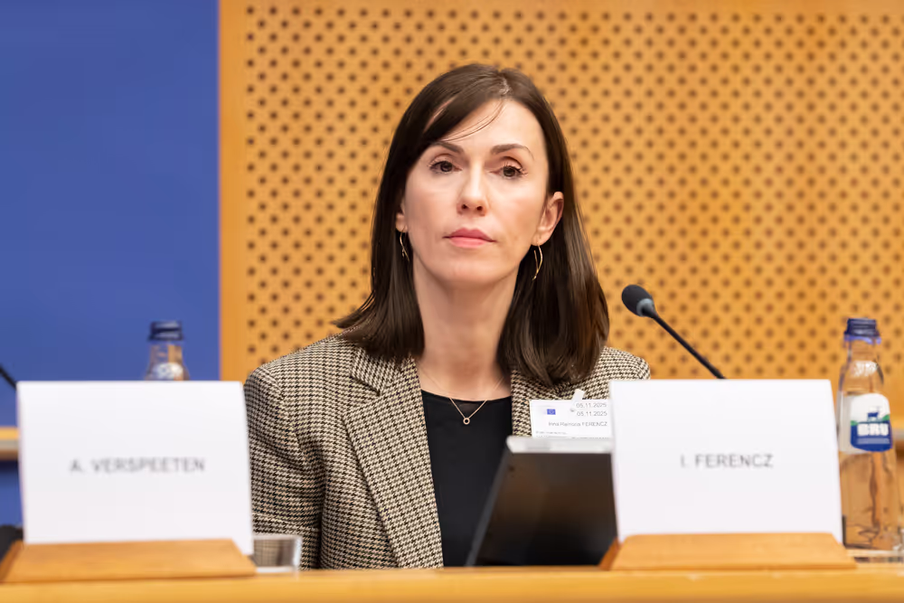 CULT - Public hearing on A European Degree: empowering students, strengthening universities, uniting Europe