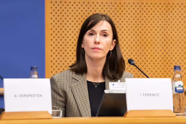 Fotografia 2: CULT - Public hearing on A European Degree: empowering students, strengthening universities, uniting Europe