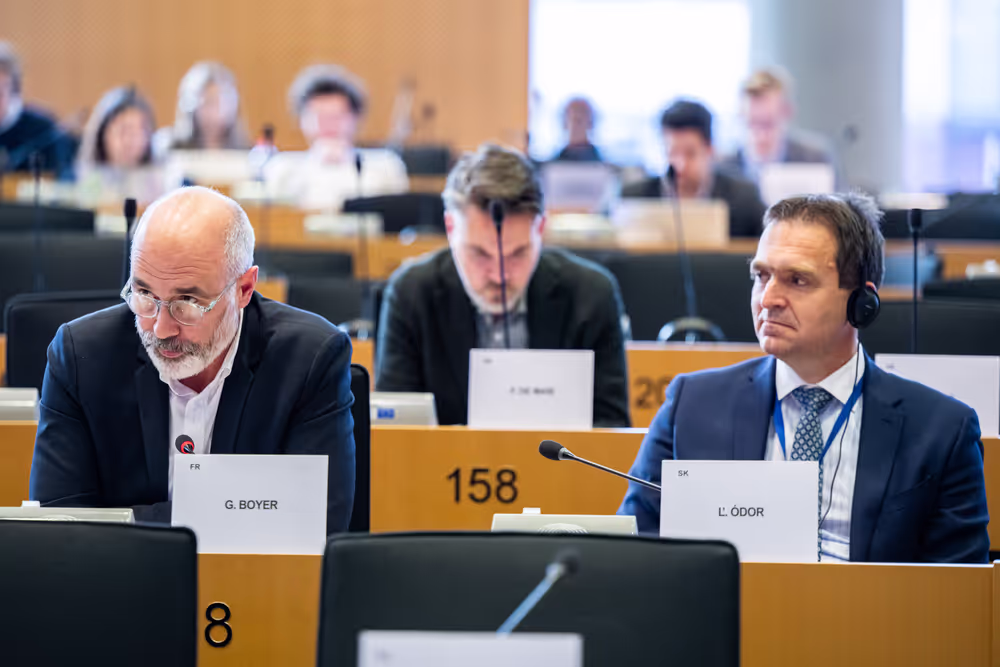 Public Hearing with Dominique Laboureix, Chair of the Single Resolution Board (SRB)