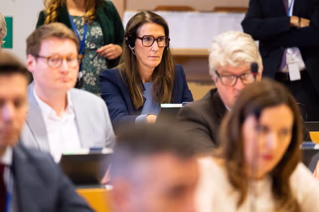 Fotografia 17: LIBE - Proposal for a Council decision determining, pursuant to Article 7(1) of the Treaty on European Union, the existence of a clear risk of a serious breach by Hungary of the values on which the Union is founded