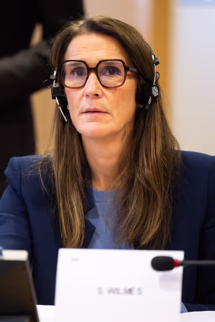 Fotografia 14: LIBE - Proposal for a Council decision determining, pursuant to Article 7(1) of the Treaty on European Union, the existence of a clear risk of a serious breach by Hungary of the values on which the Union is founded