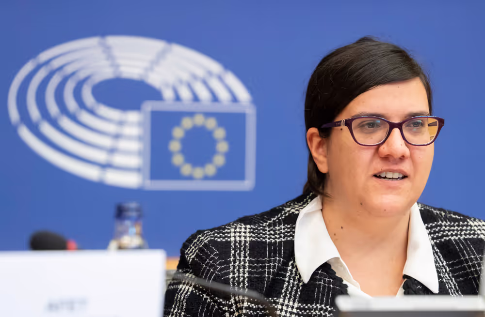 DEVE AFET - Public Hearing on EU-Africa Relations ahead of the 7th AU-EU summit