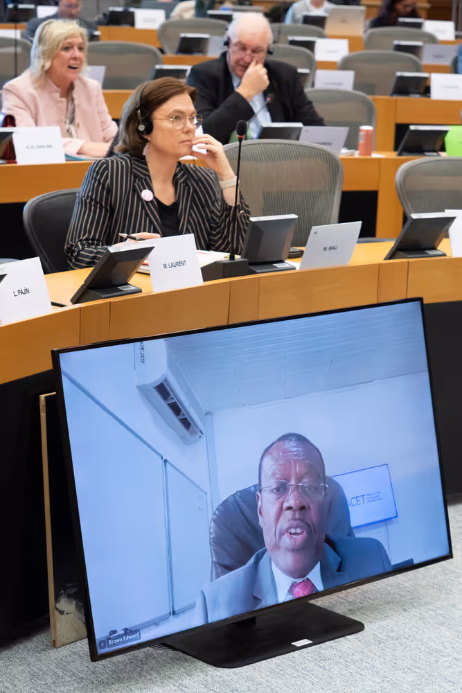 DEVE AFET - Public Hearing on EU-Africa Relations ahead of the 7th AU-EU summit